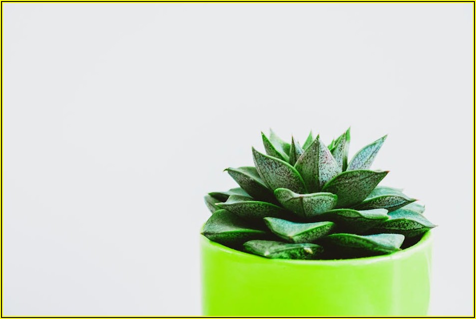 고품질 사진, 무료 다운로드 꿀팁 대공개