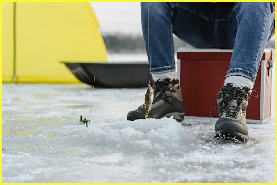 더위에도 끄떡없는 음식 보관, 대형 아이스박스 사용법 마스터