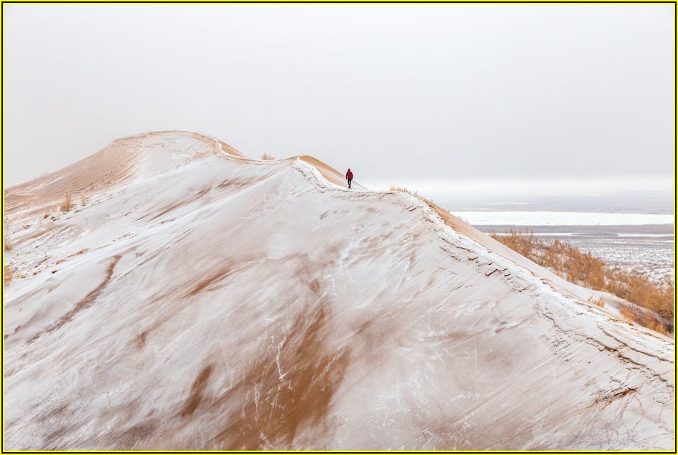 백설공주 코스튬, 예산별 추천 & 구매 팁