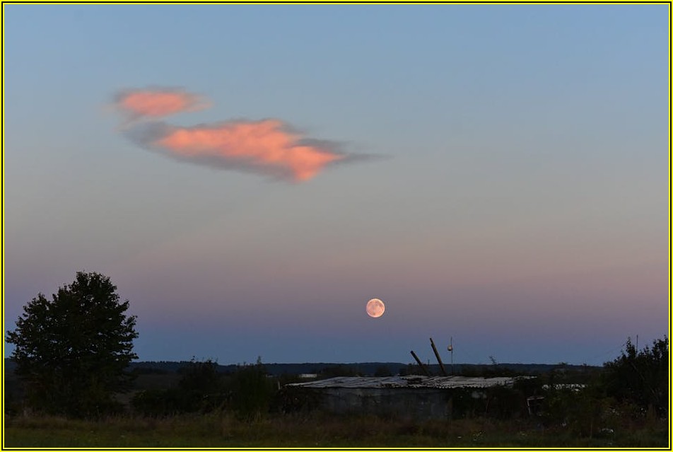 부동산 투자 지도: 당진 토지 개발 호재 파헤치기
