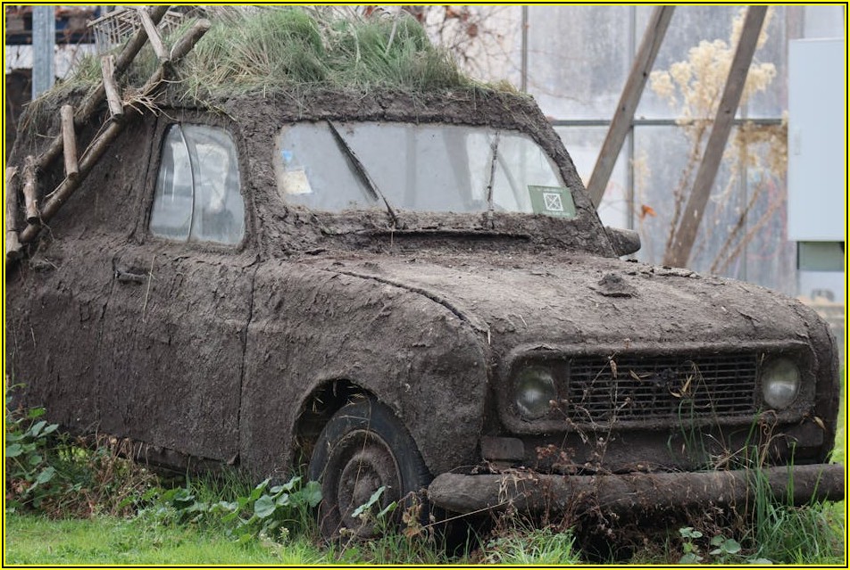 행방불명 된 가족 찾기: 궁금증 해결 가이드