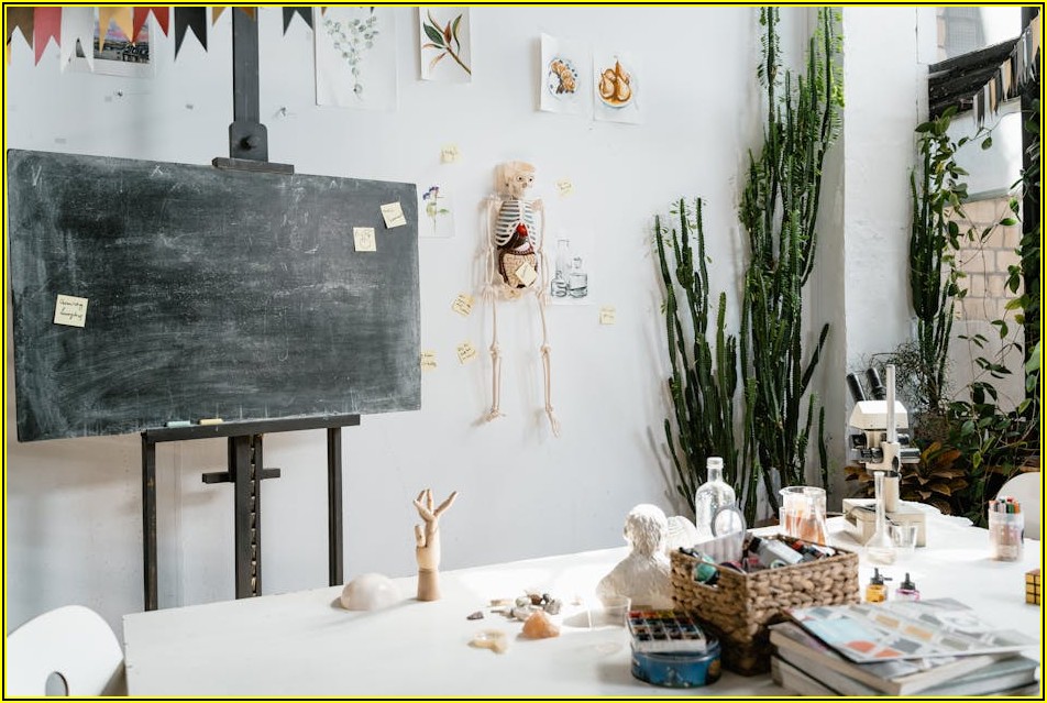 서울대 의대 도전? 학교생활과 진로 로드맵 공개