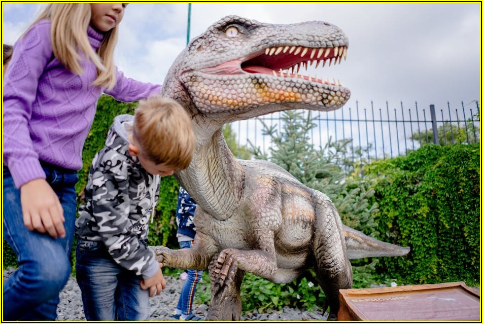 제주 체험단 지원, 이것만 알면 합격률 UP!