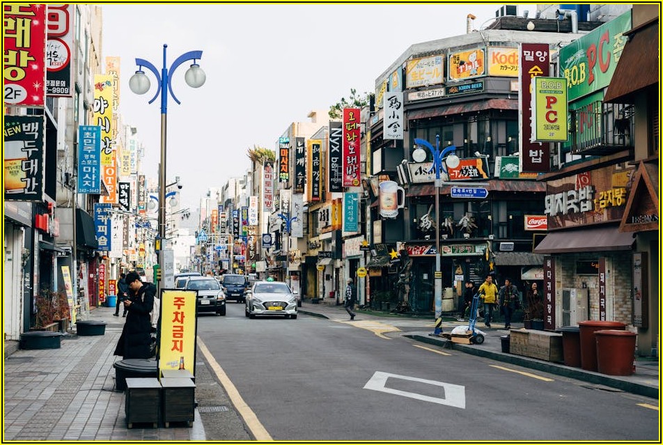 세이버코리아, 당신의 선택을 도울 장점과 단점 가이드