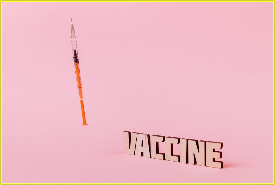 보험사기 의심 징후 파헤치기: 안전한 보험 생활 가이드