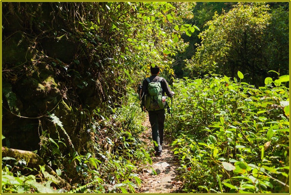 스타일리시 세면백 쇼핑 가이드: 종류별 장단점 파헤치기