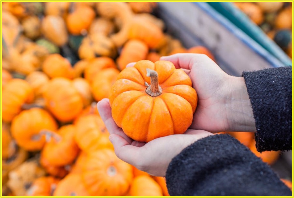 상한가 종목 포착, 성공 투자의 지름길
