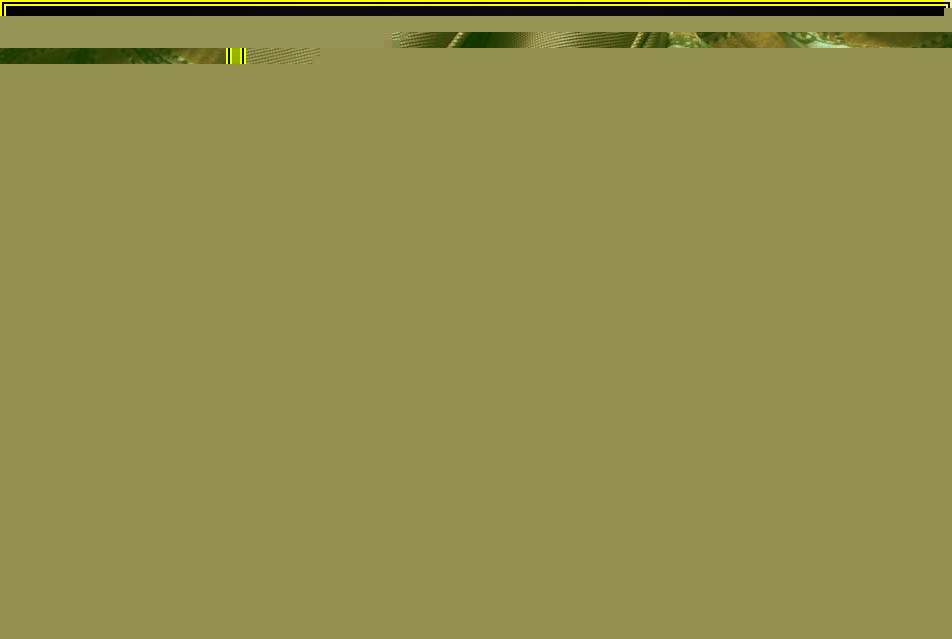 지금 당장 써먹는 SNS 마케팅 성공 비법