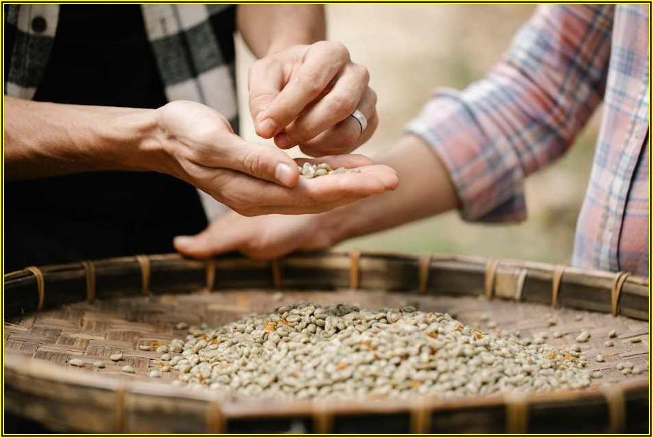 빗물 누수 막는 최고의 선택, 물받이 종류별 장단점