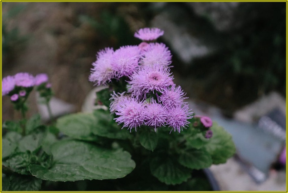 우리 집 조용하게, 방진 스프링으로 소음/진동 해결