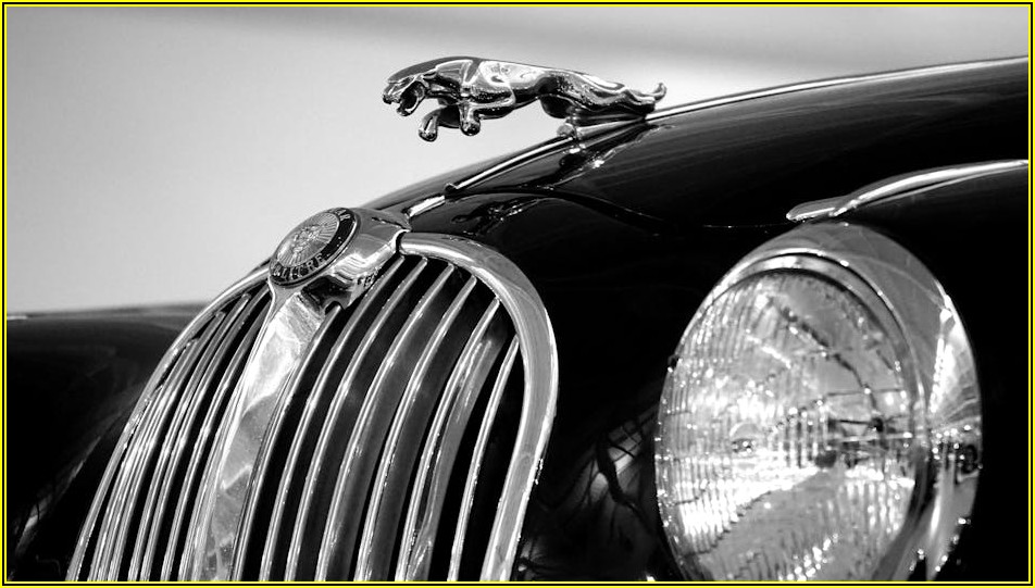 신선함을 오래, 산소 포장기 도입으로 얻는 이점