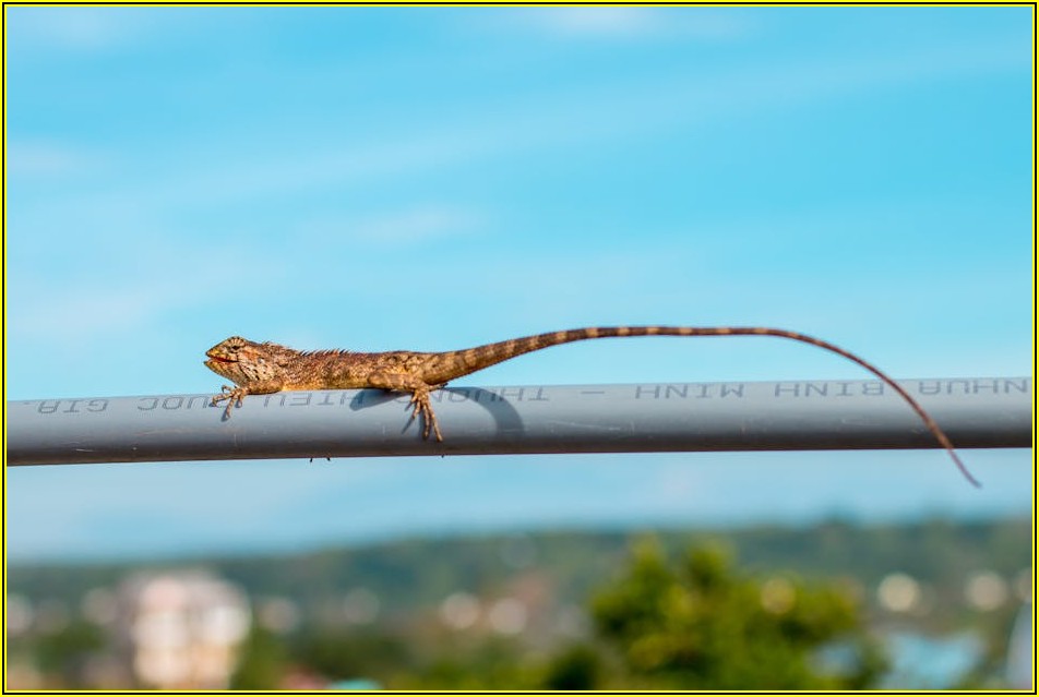 파이프 덕트 설치, 규정 준수로 안전 확보하기