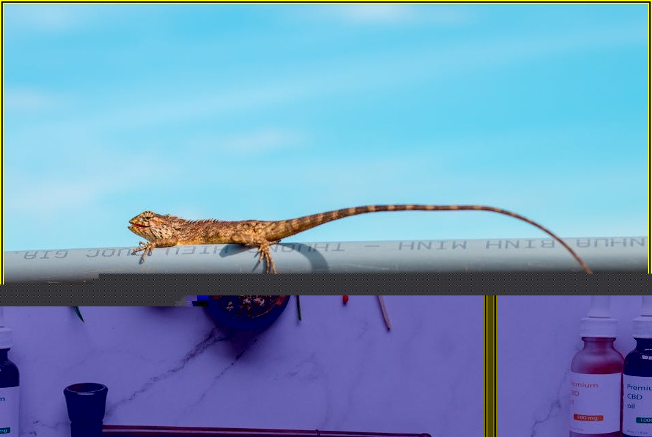 파이프 덕트 법규, 규제 완벽 분석 안내