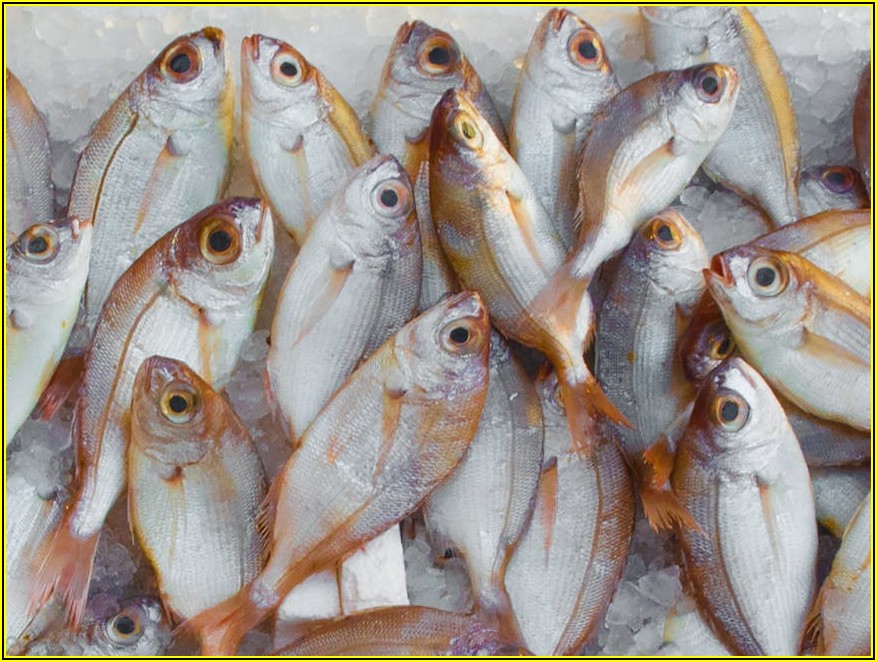 유니셈 주가 변동, 지금이 매수 적기일까? 상세 분석