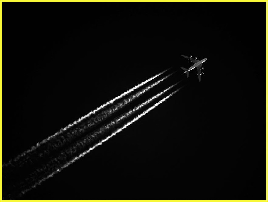 승무원 면접, 이것만 알면 합격! 대전승무원학원 팁