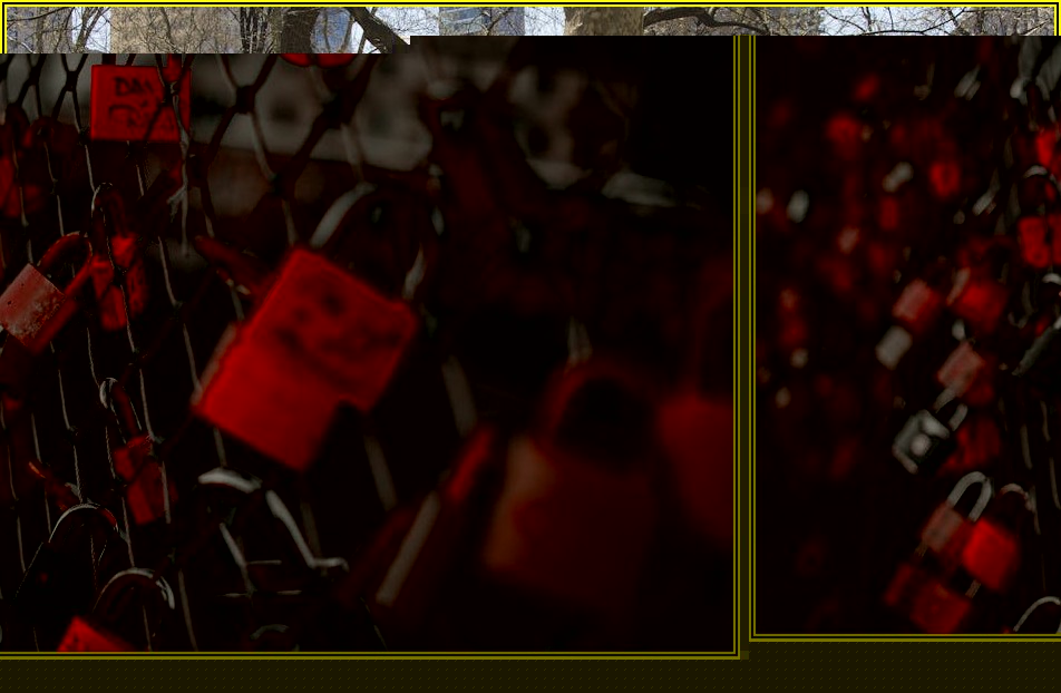 울타리 철망 설치, 이것만 알면 실패 없다!