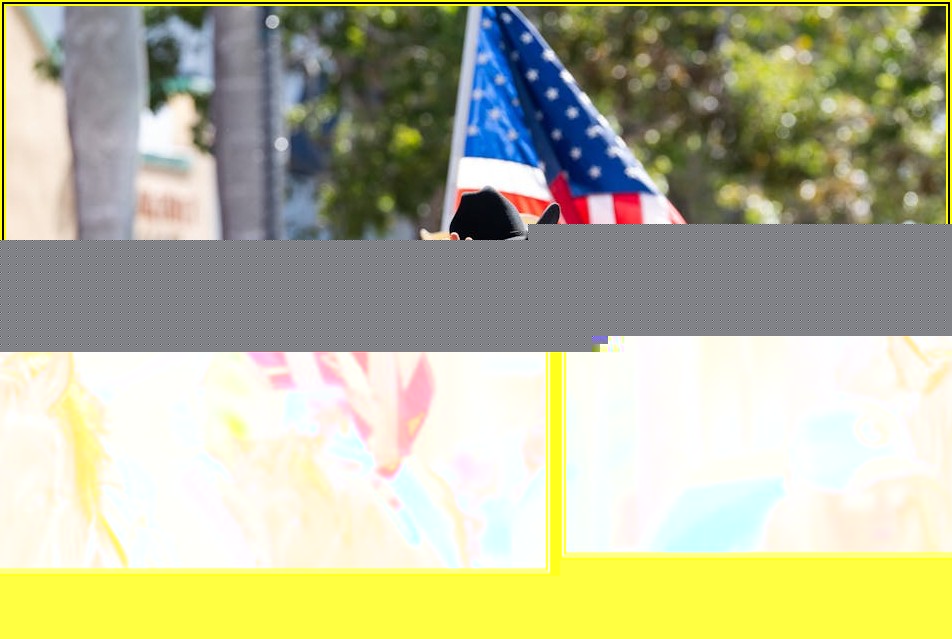 국회의원 뱃지, 알고 보면 더 흥미로운 이야기