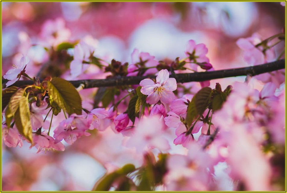 사진 보관의 새로운 기준: 증명사진 봉투의 놀라운 기능