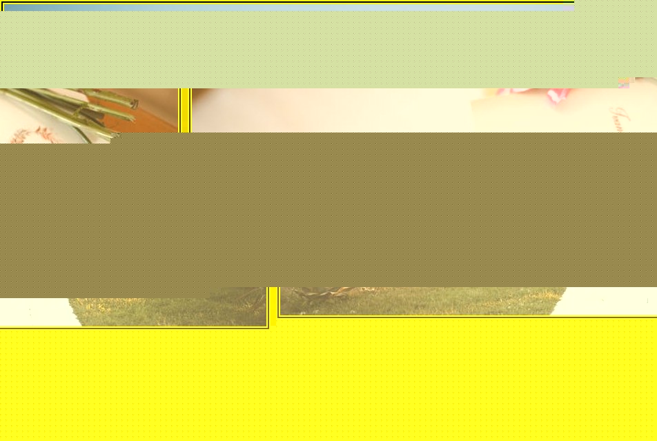 혼인신고, 양식 작성법과 준비물 총정리