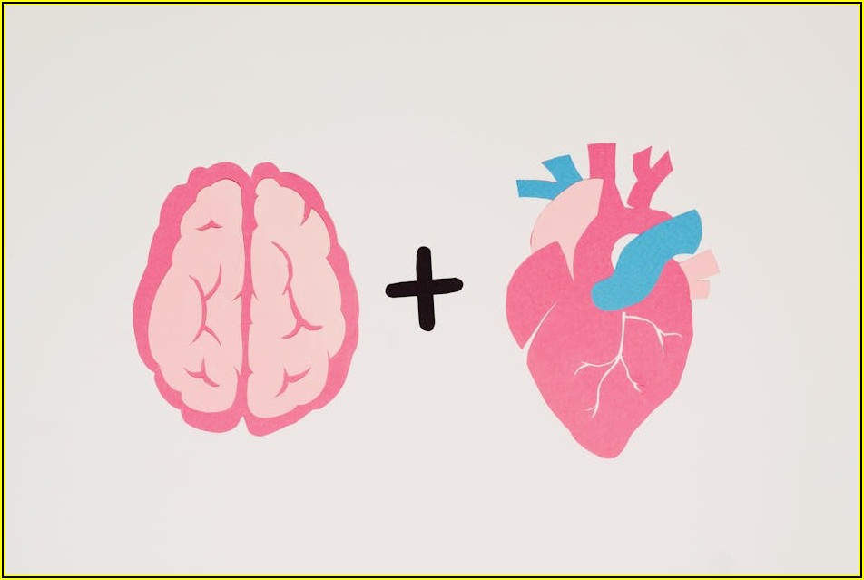 심혈관 질환 예방, 순환기내과 진료가 중요한 이유