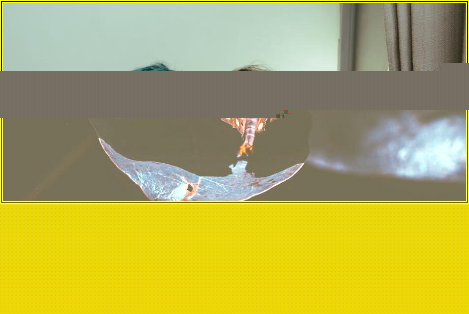 오래가는 사진 추억 만들기: 스캔과 보관의 모든 것