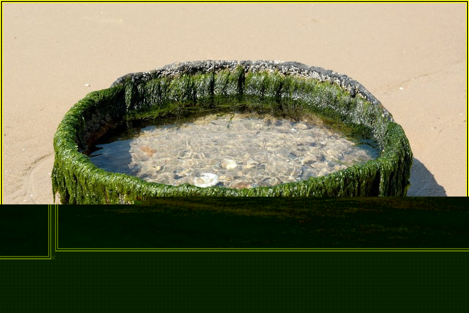 수도관 파이프 구매 시 꼭 알아야 할 절약 팁