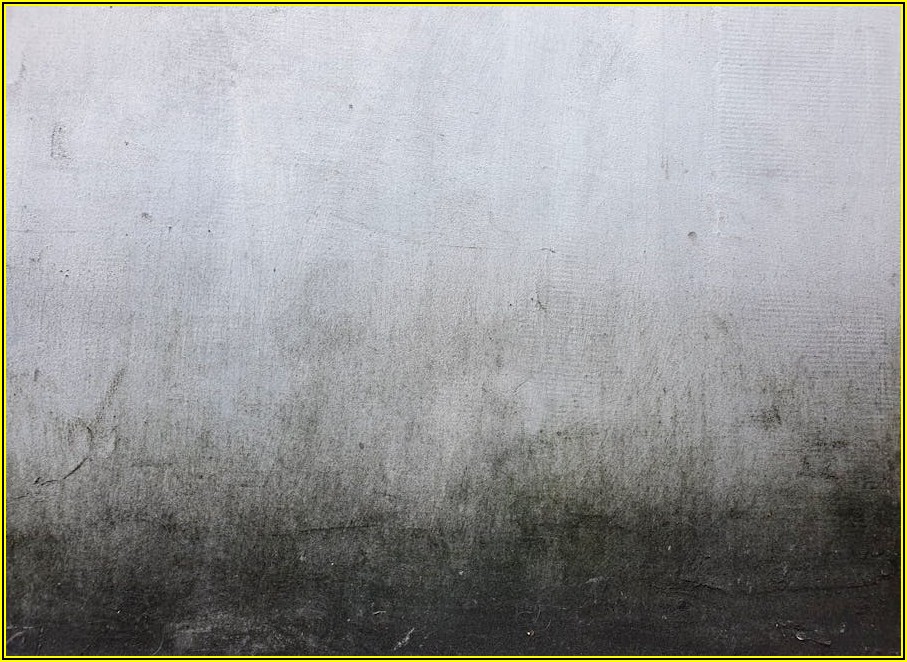 실리콘 음극재 관련주, 지금 주목해야 할 이유는?