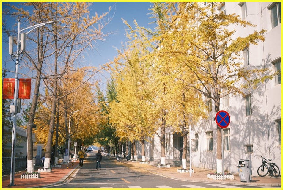 주정차 금지 표지판, 헷갈리는 당신을 위한 필수 안내서