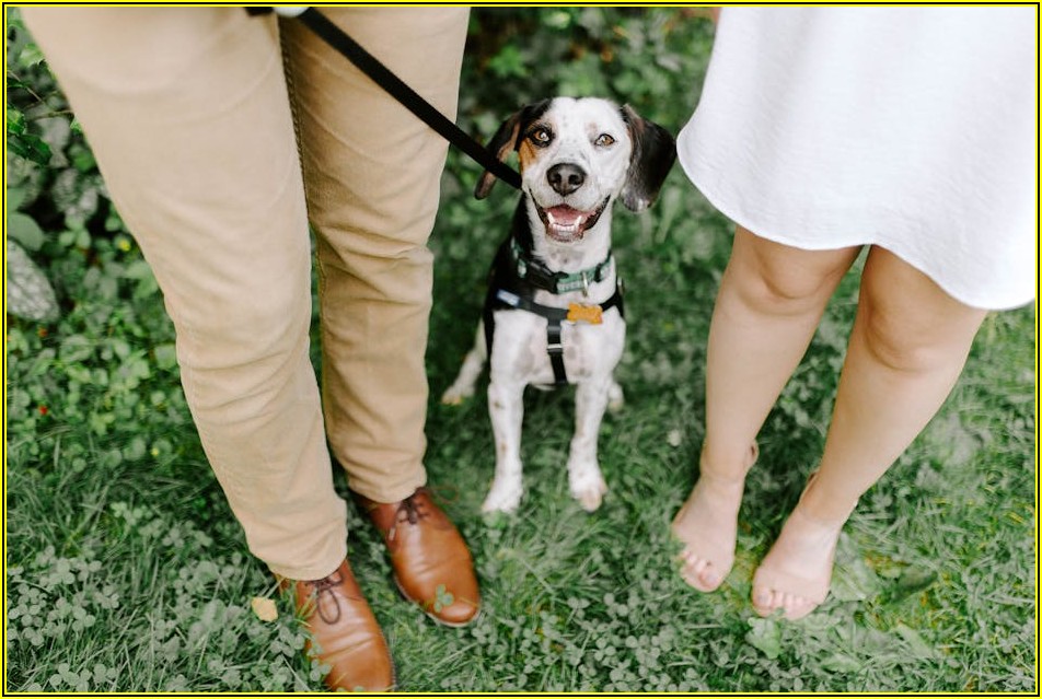하자보수보증서 활용법: 분쟁 발생 시 꼭 알아야 할 정보