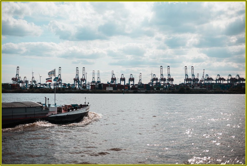 특별사면 음주운전, 법적 기준과 실제 사례 분석