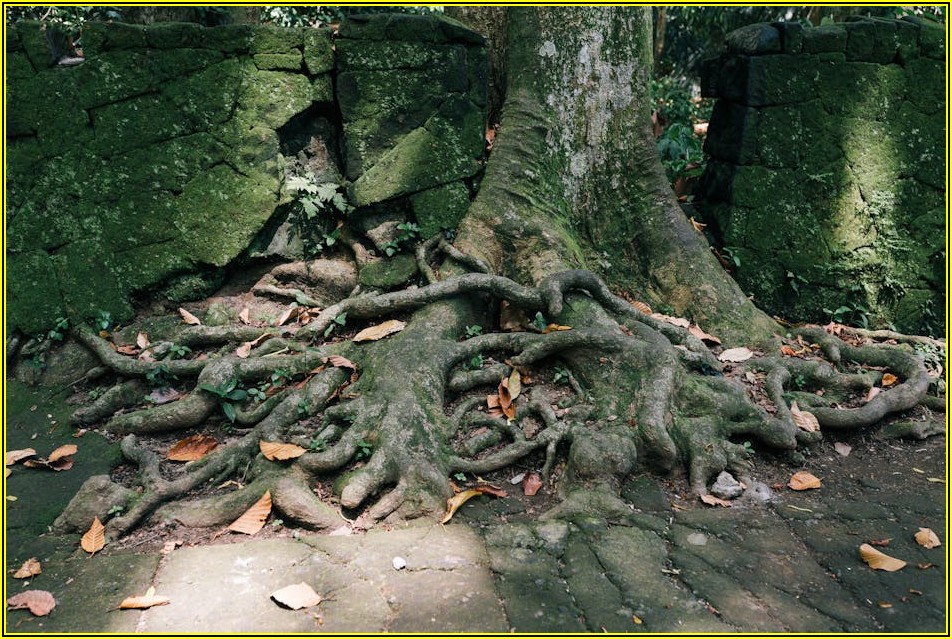 은퇴 후 든든한 삶, KB생명 연금보험으로 미래 준비하기