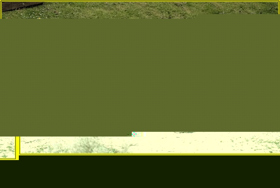 지명경쟁입찰 완벽 분석: 성공적인 참여 전략