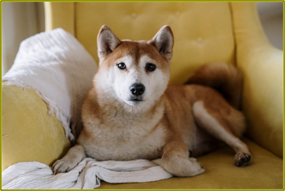 지불각서 작성법: 상황별 완벽 가이드