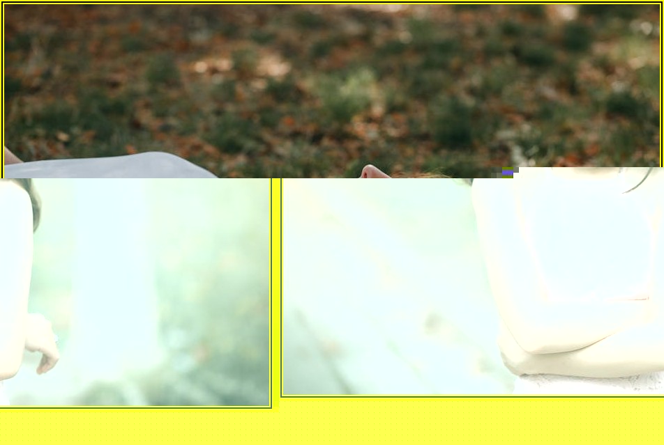 찰떡궁합 헤어픽서 찾기: 차홍이 제안하는 완벽 가이드