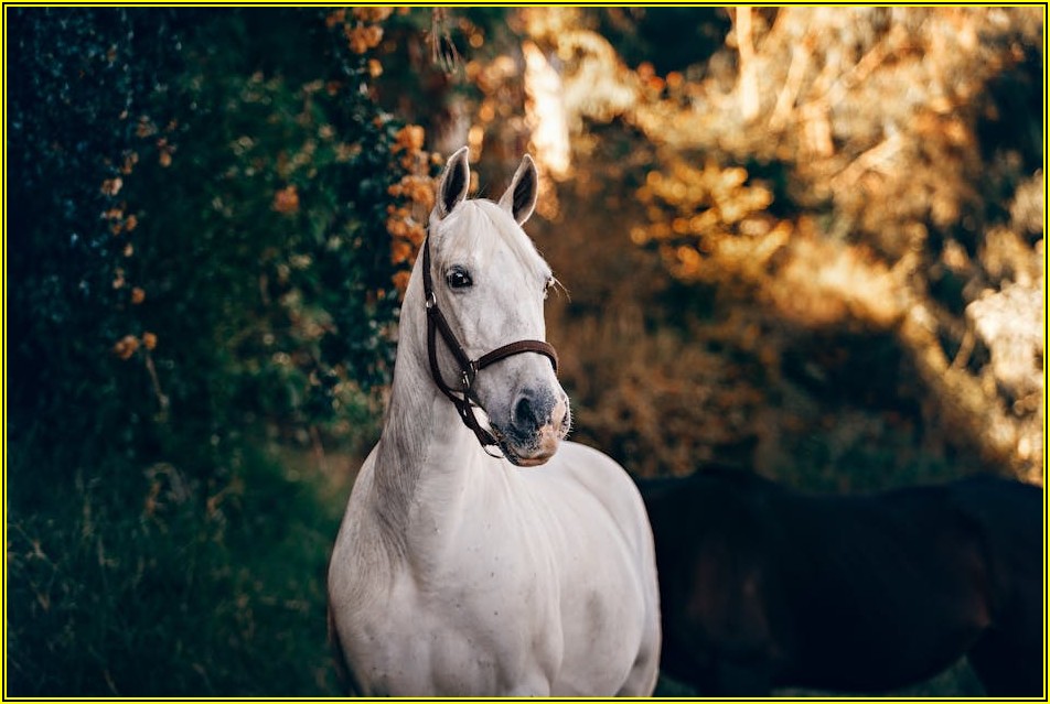 헷갈리는 진입 금지 표지판, 뜻과 사례 총정리