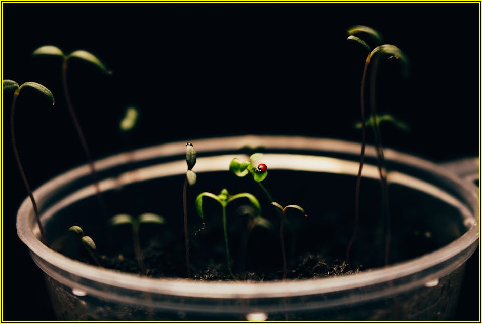 억울하다면? 300만원 소액재판, 법률 전문가 없이 승소하기