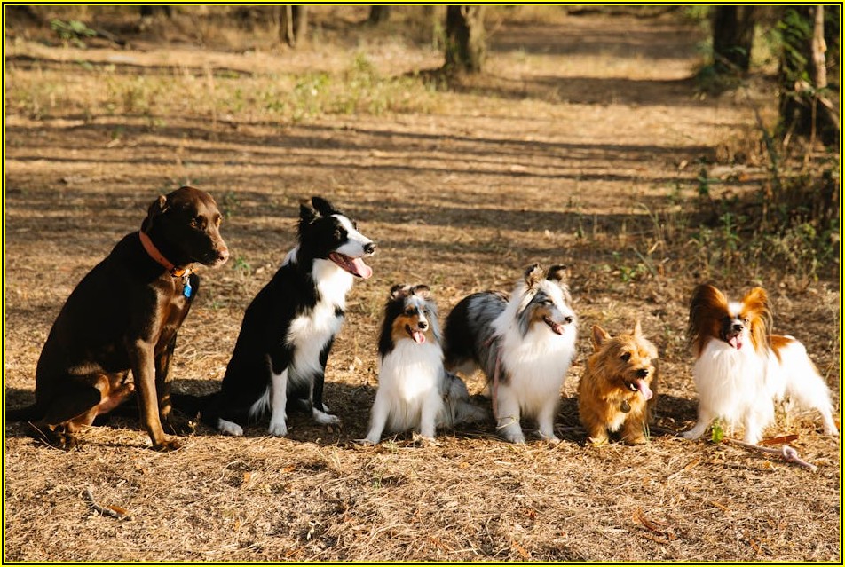 이자 부담 확 줄이는 전세자금대출 절약 노하우 공개