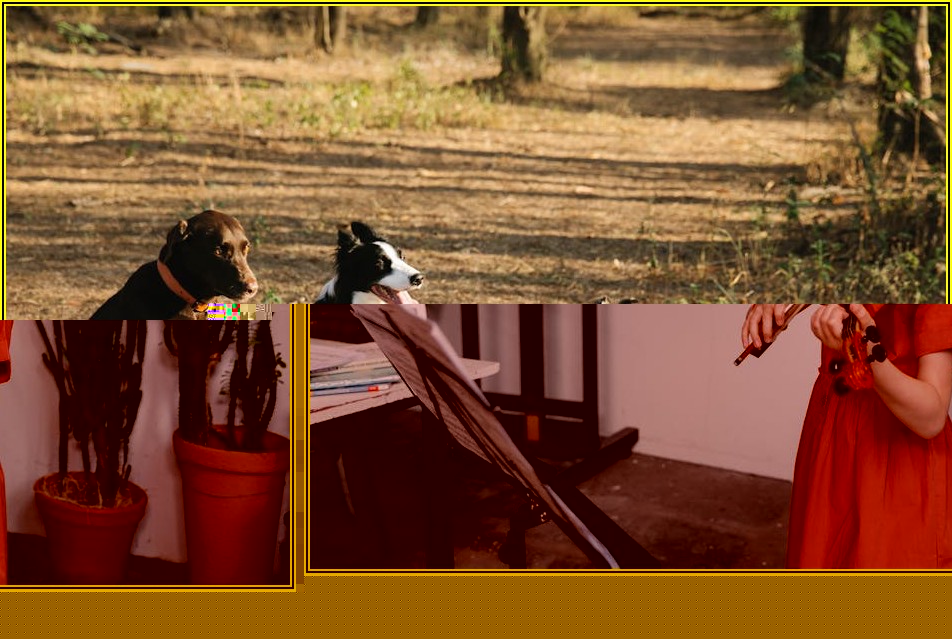 이자 부담 확 줄이는 전세자금대출 절약 노하우 공개