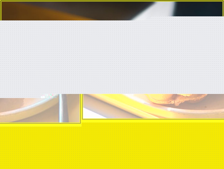 푸드코트 창업 성공의 열쇠, 지금 바로 확인하세요