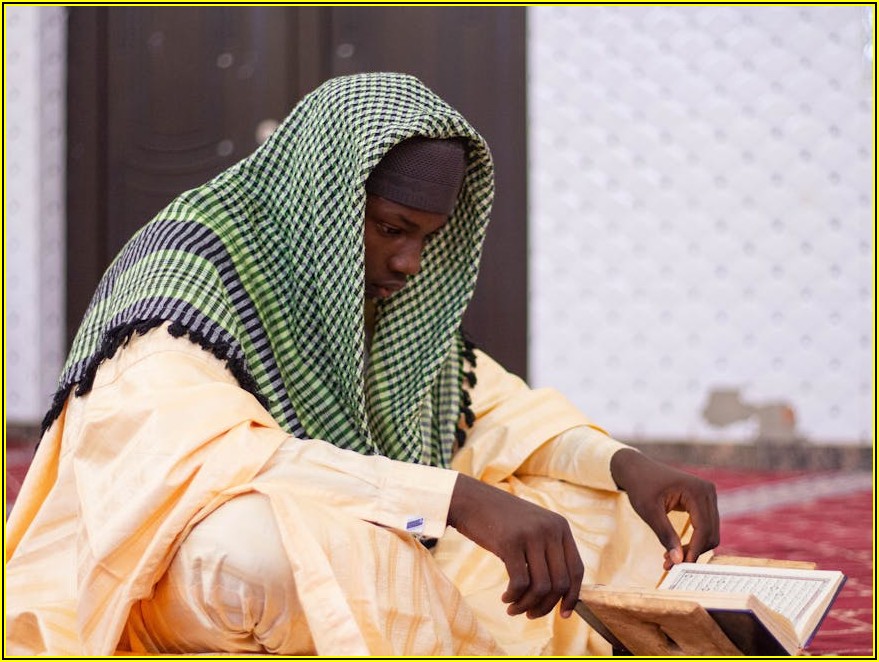 초보자를 위한 코딩 온라인 강의, 무료와 유료의 모든 것