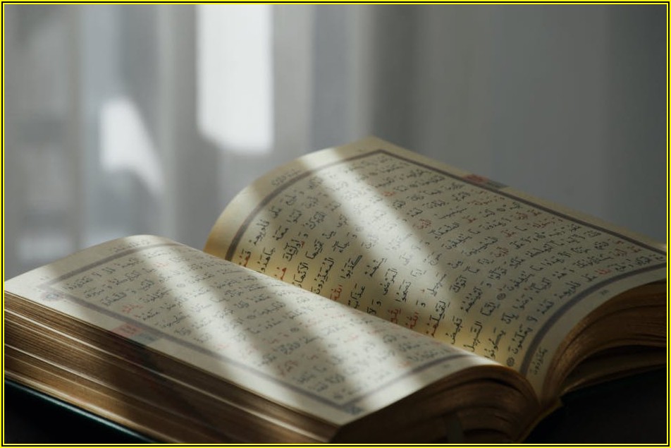 나에게 맞는 코딩 온라인 강의 찾기: 무료 vs 유료 장단점 분석