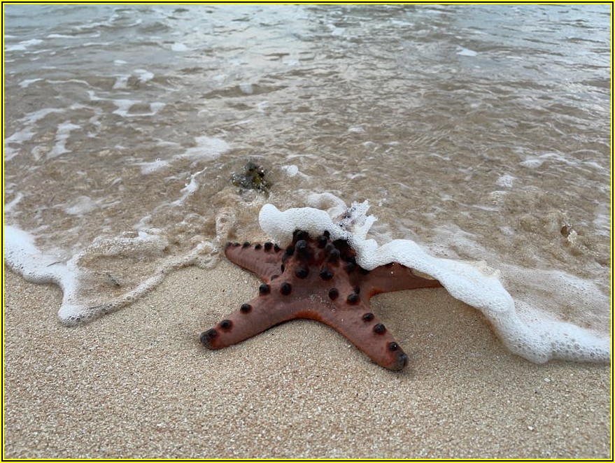 섭지코지 오션스타 맛집 탐방, 인생 맛집 찾기