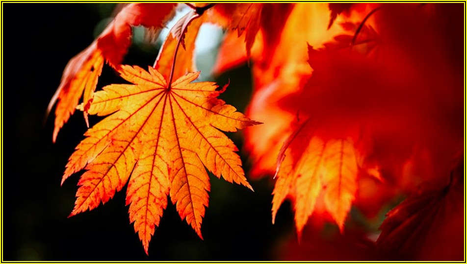 엑셀 매크로, 단순 반복 업무에서 벗어나는 완벽 가이드