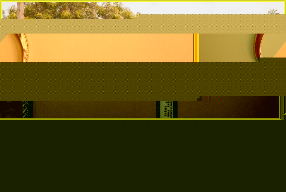 AMD 주식 투자 가이드: 알아야 할 리스크와 팁