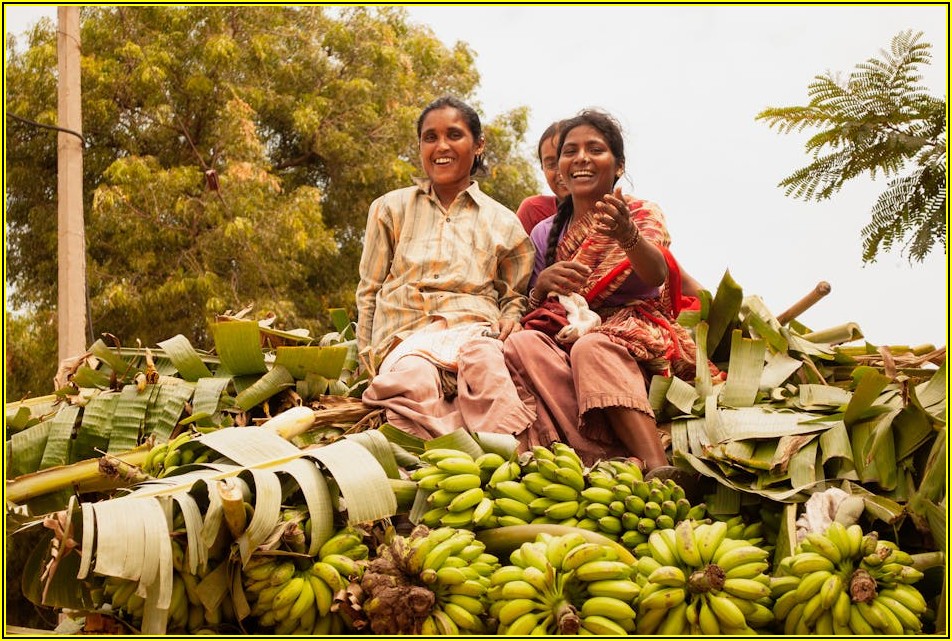 AMD 주식 투자 가이드: 알아야 할 리스크와 팁