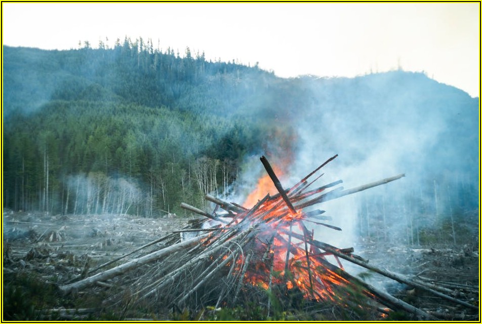성공적인 경매 투자를 위한 낙찰가율 활용 전략