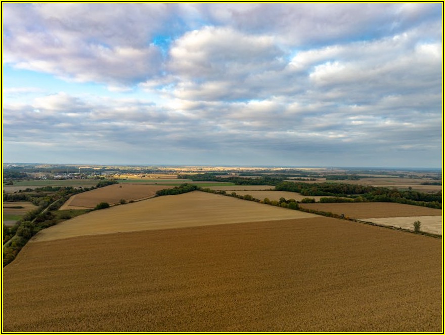 돈까스 배달&middot;포장, 고객 사로잡는 노하우 A to Z