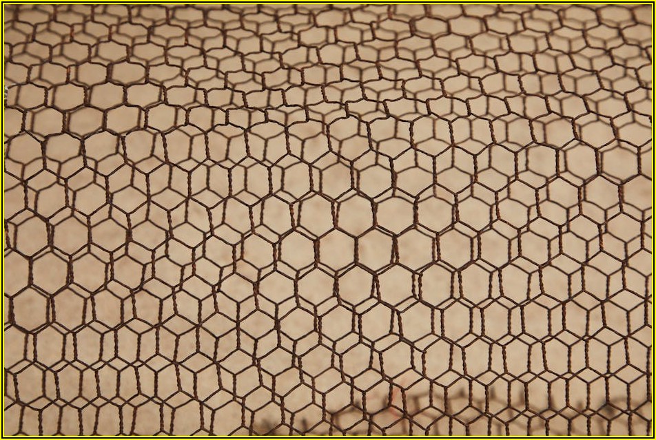 3상 4선식, 전력 시스템의 숨은 조력자를 파헤치다