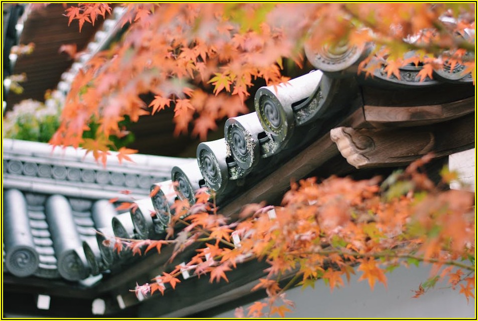 건물 수명 늘리는 지붕 방수 페인트, 필수 시공법 총정리