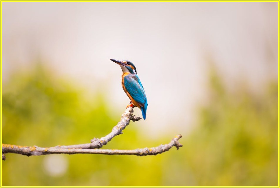 유언장의 모든 것, Q&A로 궁금증을 속 시원히 풀어드립니다